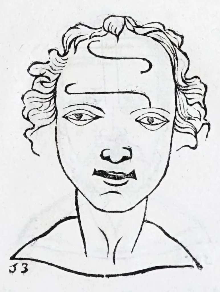 An illustration from La metoposcopie de H. Cardan, medecin milanois : comprise en treize liures, et huit cens figures de la face humaine : a laquelle a esté adjousté, Le traicté des marques naturelles du corps, par Melampus, antien autheur grec : le tout traduit en françois par le sieur C. M. de Laurendiere, docteur en medecine, 1658, leaf 35