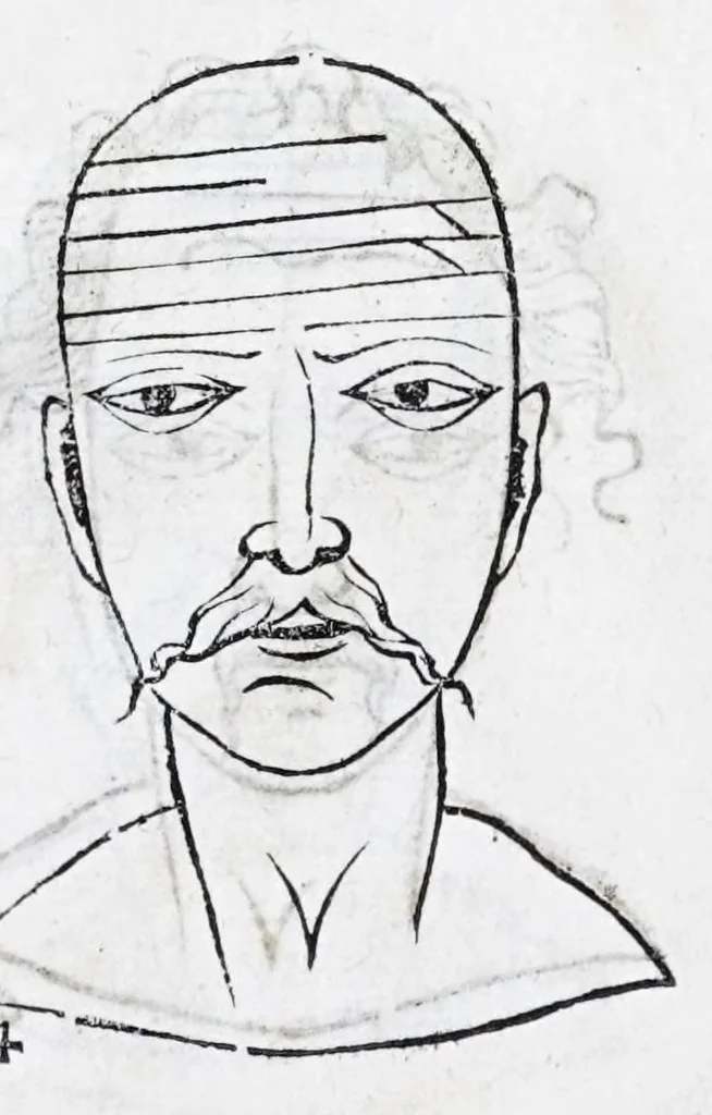 An illustration from La metoposcopie de H. Cardan, medecin milanois : comprise en treize liures, et huit cens figures de la face humaine : a laquelle a esté adjousté, Le traicté des marques naturelles du corps, par Melampus, antien autheur grec : le tout traduit en françois par le sieur C. M. de Laurendiere, docteur en medecine, 1658, leaf 38
