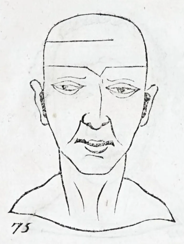 An illustration from La metoposcopie de H. Cardan, medecin milanois : comprise en treize liures, et huit cens figures de la face humaine : a laquelle a esté adjousté, Le traicté des marques naturelles du corps, par Melampus, antien autheur grec : le tout traduit en françois par le sieur C. M. de Laurendiere, docteur en medecine, 1658, leaf 41