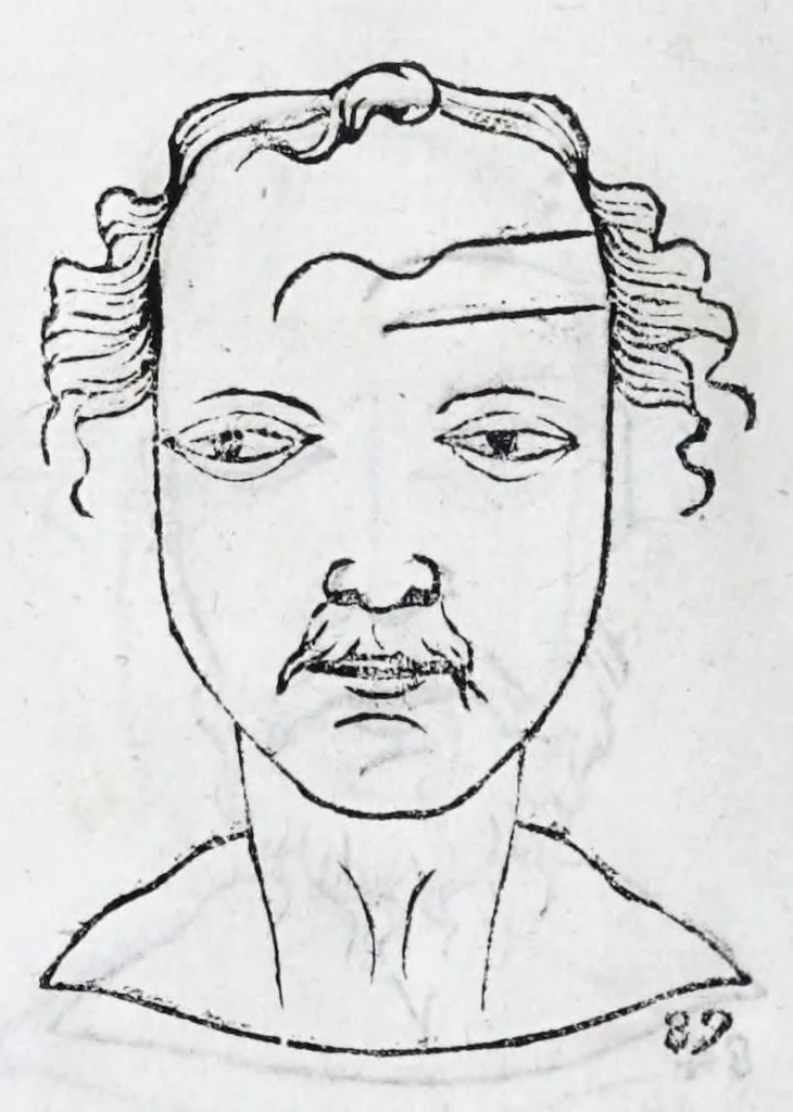 An illustration from La metoposcopie de H. Cardan, medecin milanois : comprise en treize liures, et huit cens figures de la face humaine : a laquelle a esté adjousté, Le traicté des marques naturelles du corps, par Melampus, antien autheur grec : le tout traduit en françois par le sieur C. M. de Laurendiere, docteur en medecine, 1658, leaf 44