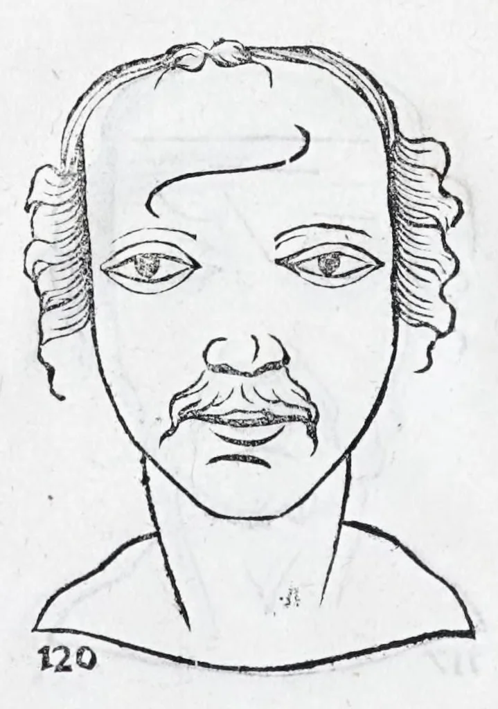 An illustration from La metoposcopie de H. Cardan, medecin milanois : comprise en treize liures, et huit cens figures de la face humaine : a laquelle a esté adjousté, Le traicté des marques naturelles du corps, par Melampus, antien autheur grec : le tout traduit en françois par le sieur C. M. de Laurendiere, docteur en medecine, 1658, leaf 52