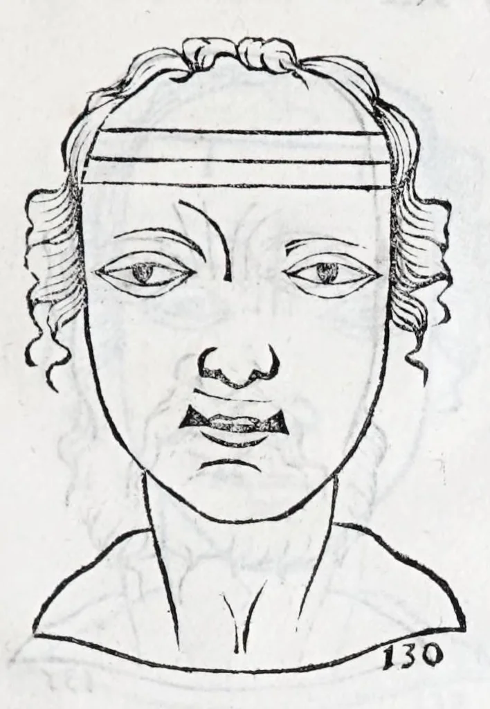 An illustration from La metoposcopie de H. Cardan, medecin milanois : comprise en treize liures, et huit cens figures de la face humaine : a laquelle a esté adjousté, Le traicté des marques naturelles du corps, par Melampus, antien autheur grec : le tout traduit en françois par le sieur C. M. de Laurendiere, docteur en medecine, 1658, leaf 55