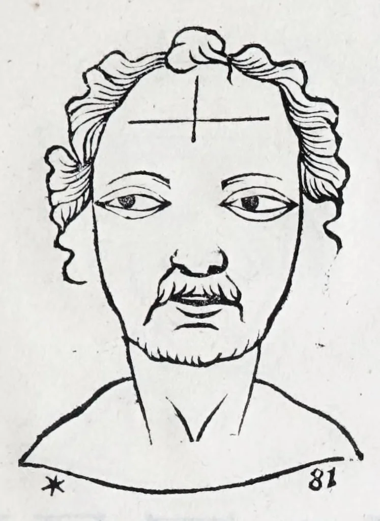 An illustration from La metoposcopie de H. Cardan, medecin milanois : comprise en treize liures, et huit cens figures de la face humaine : a laquelle a esté adjousté, Le traicté des marques naturelles du corps, par Melampus, antien autheur grec : le tout traduit en françois par le sieur C. M. de Laurendiere, docteur en medecine, 1658, leaf 87