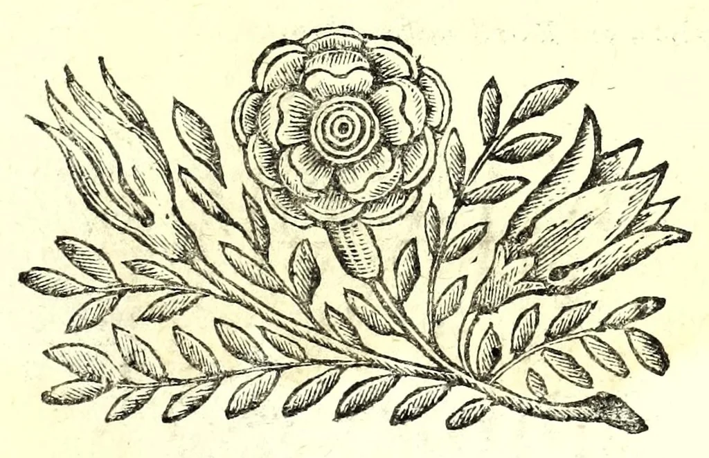 An illustration from La militare architettura, ouero, Fortificatione moderna : cauata dall'esperienza, e da varie maniere più pratticabili, con le regole principali dell'aritmetica, e dottrina de' triangoli spettante all'arte, espugnatione, e guardia delle piazze, et vn trattato dell'arte militare del capitan Pietro Ruggiero .., 1661, leaf 13