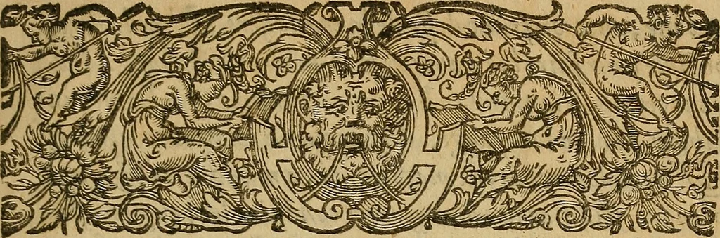 An illustration from La monarchie aristodemocratique : ou Le gouvernement composé et meslé des trois formes de legitimes republiques, 1611, leaf 10