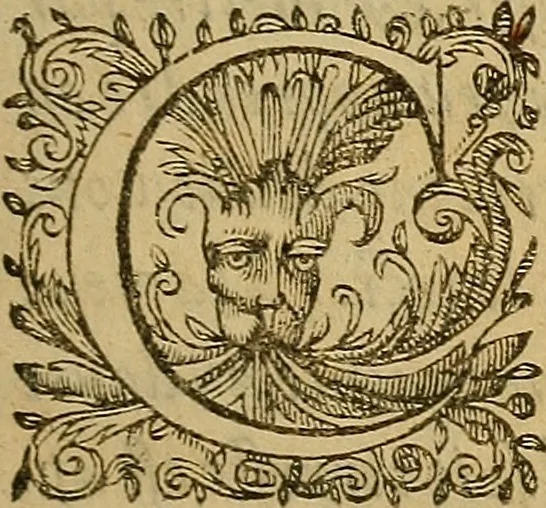 An illustration from La monarchie aristodemocratique : ou Le gouvernement composé et meslé des trois formes de legitimes republiques, 1611, leaf 10