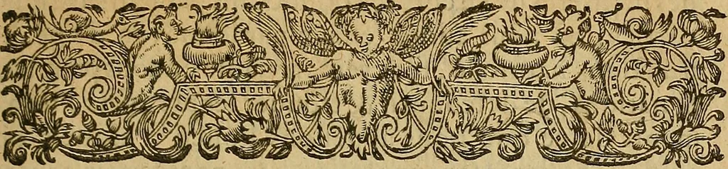 An illustration from La monarchie aristodemocratique : ou Le gouvernement composé et meslé des trois formes de legitimes republiques, 1611, leaf 172
