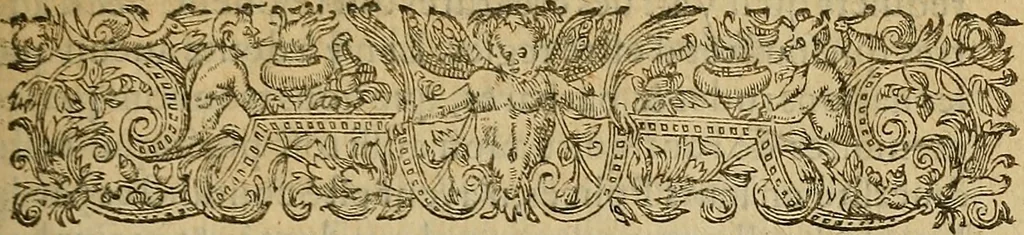 An illustration from La monarchie aristodemocratique : ou Le gouvernement composé et meslé des trois formes de legitimes republiques, 1611, leaf 268