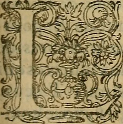 An illustration from La monarchie aristodemocratique : ou Le gouvernement composé et meslé des trois formes de legitimes republiques, 1611, leaf 268