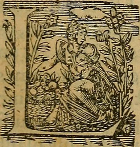 An illustration from La monarchie aristodemocratique : ou Le gouvernement composé et meslé des trois formes de legitimes republiques, 1611, leaf 28