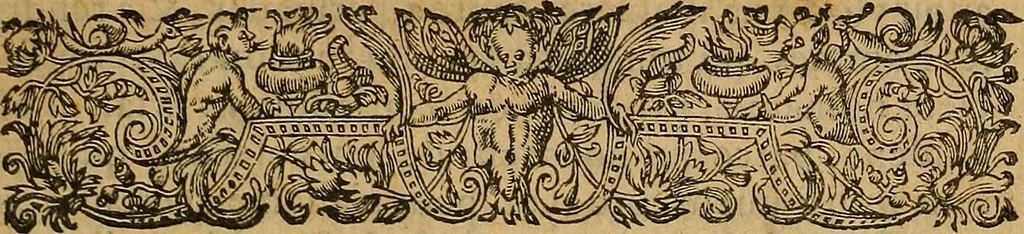 An illustration from La monarchie aristodemocratique : ou Le gouvernement composé et meslé des trois formes de legitimes republiques, 1611, leaf 28
