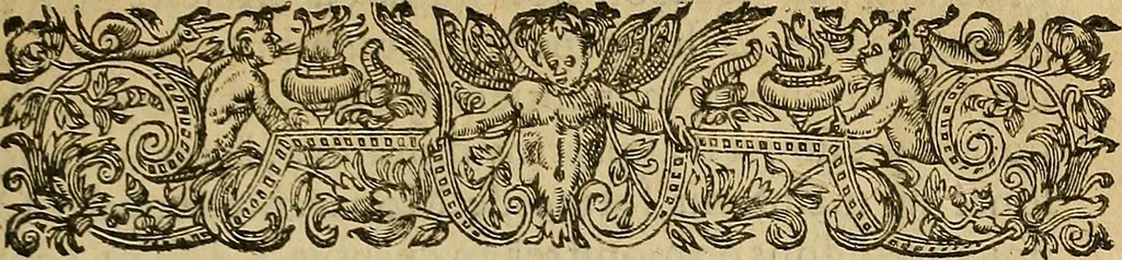 An illustration from La monarchie aristodemocratique : ou Le gouvernement composé et meslé des trois formes de legitimes republiques, 1611, leaf 350