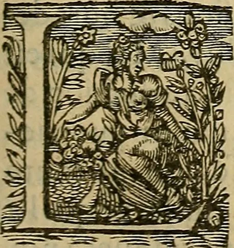 An illustration from La monarchie aristodemocratique : ou Le gouvernement composé et meslé des trois formes de legitimes republiques, 1611, leaf 350