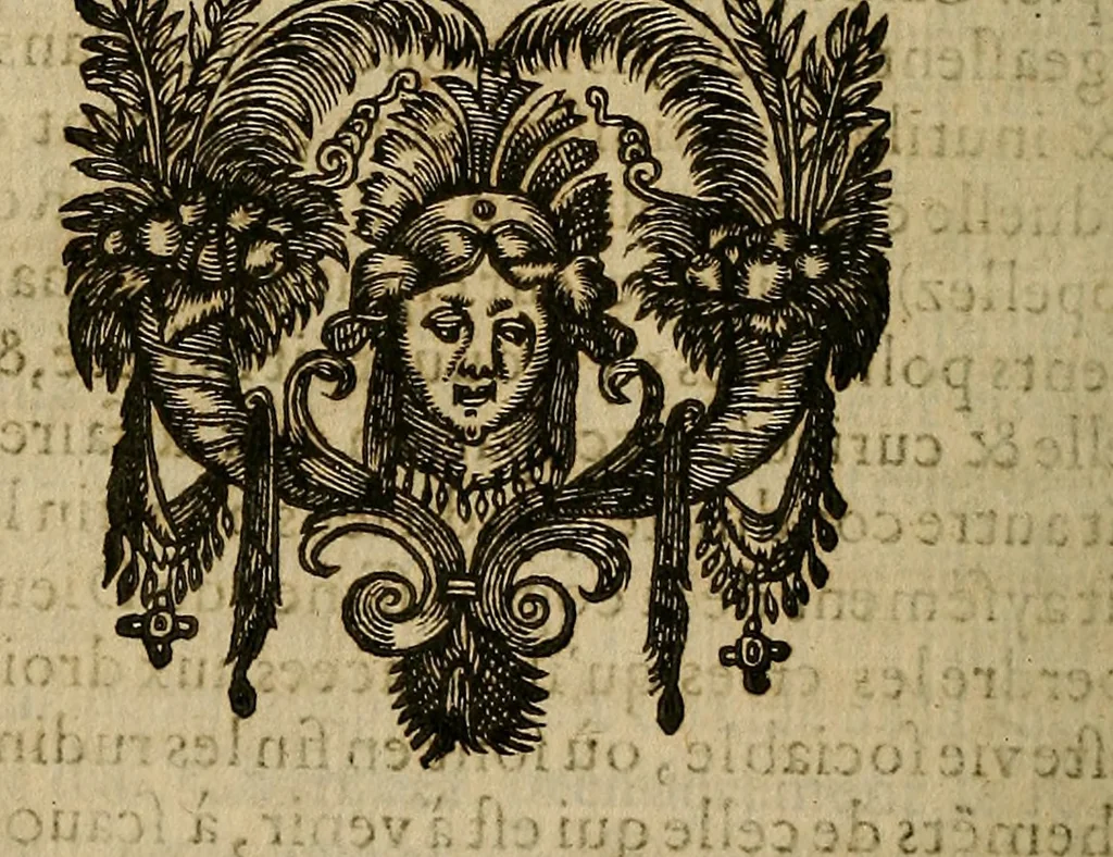 An illustration from La monarchie aristodemocratique : ou Le gouvernement composé et meslé des trois formes de legitimes republiques, 1611, leaf 589