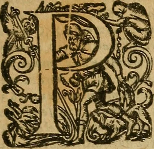An illustration from La monarchie aristodemocratique : ou Le gouvernement composé et meslé des trois formes de legitimes republiques, 1611, leaf 598