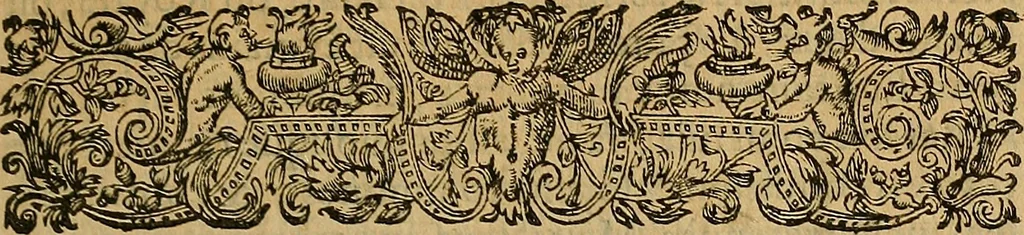 An illustration from La monarchie aristodemocratique : ou Le gouvernement composé et meslé des trois formes de legitimes republiques, 1611, leaf 64