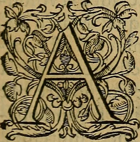 An illustration from La monarchie aristodemocratique : ou Le gouvernement composé et meslé des trois formes de legitimes republiques, 1611, leaf 64