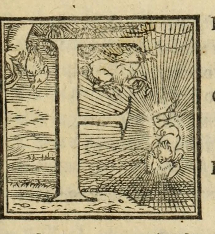An illustration from L'amore di Trolio et Griseida, ove, Si tratta in bvona parte la Gverra de Troia, 1553, leaf 65