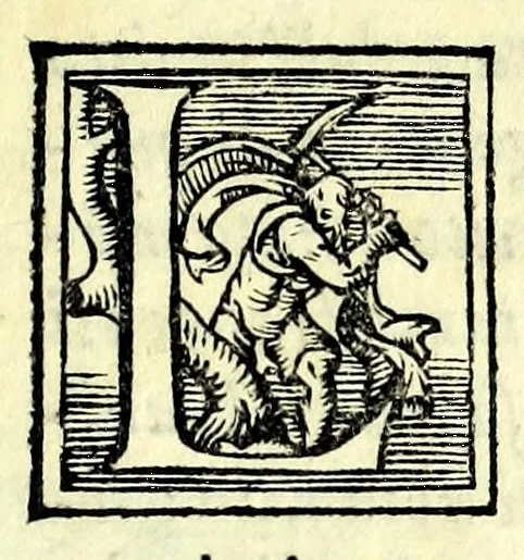 An illustration from L'amorose rime, 1559, leaf 5