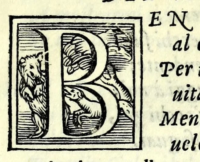 An illustration from L'amorose rime, 1559, leaf 55