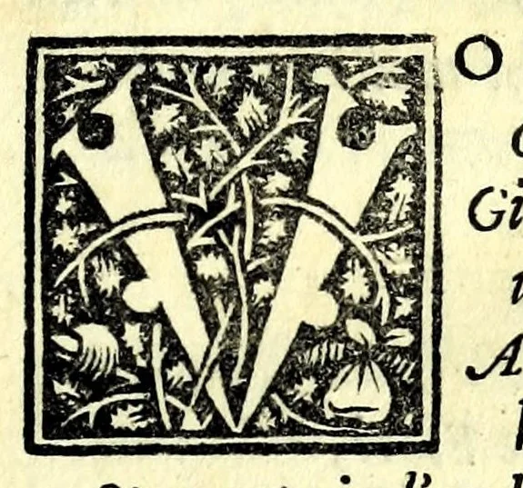 An illustration from L'amorose rime, 1559, leaf 7