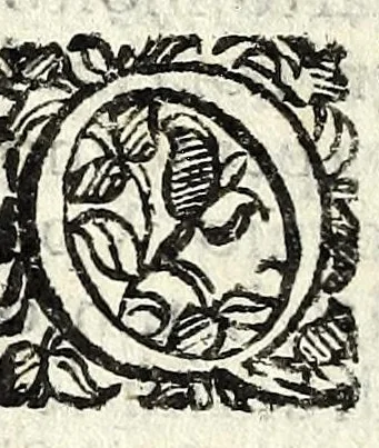 An illustration from L'amoroso sdegno : favola pastorale, 1598, leaf 12