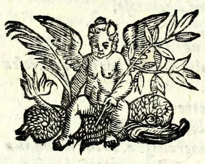 An illustration from L'amoroso sdegno : favola pastorale, 1598, leaf 95
