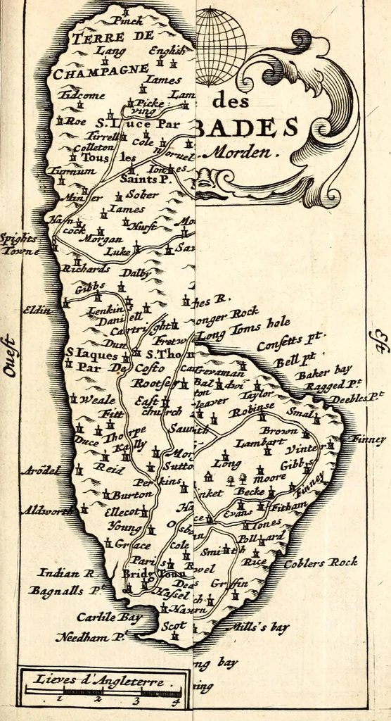 An illustration from L'Amérique angloise, ou Description des isles et terres du roi d'Angleterre, dans l'Amérique, 1688, leaf 50