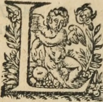 An illustration from La métamorphose du vertueux : livre plein de moralité, 1611, leaf 13