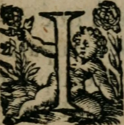 An illustration from La métamorphose du vertueux : livre plein de moralité, 1611, leaf 218
