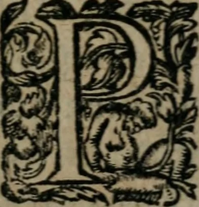 An illustration from La métamorphose du vertueux : livre plein de moralité, 1611, leaf 282