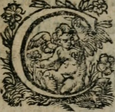 An illustration from La métamorphose du vertueux : livre plein de moralité, 1611, leaf 292