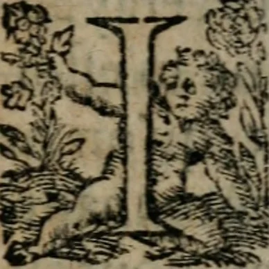 An illustration from La métamorphose du vertueux : livre plein de moralité, 1611, leaf 308