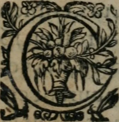 An illustration from La métamorphose du vertueux : livre plein de moralité, 1611, leaf 358