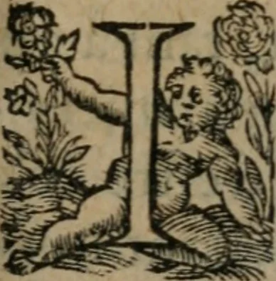 An illustration from La métamorphose du vertueux : livre plein de moralité, 1611, leaf 56