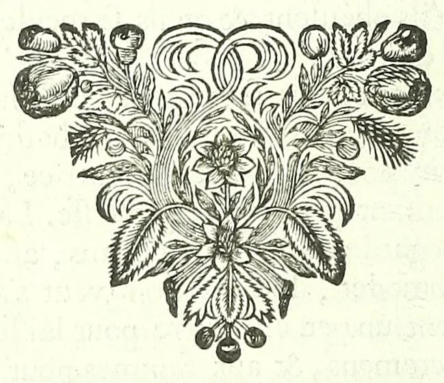 An illustration from L'anatomie de l'homme, suivant la circulation du sang, & les dernieres découvertes :, 1698, leaf 142