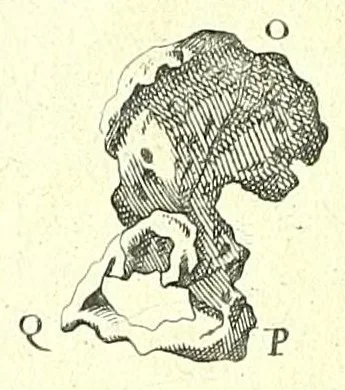 An illustration from L'anatomie de l'homme, suivant la circulation du sang, & les dernieres découvertes :, 1698, leaf 144