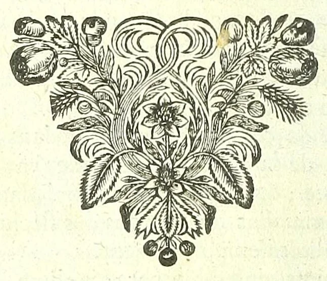 An illustration from L'anatomie de l'homme, suivant la circulation du sang, & les dernieres découvertes :, 1698, leaf 178