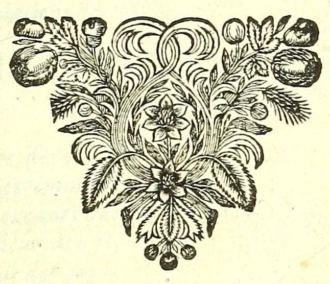 An illustration from L'anatomie de l'homme, suivant la circulation du sang, & les dernieres découvertes :, 1698, leaf 27