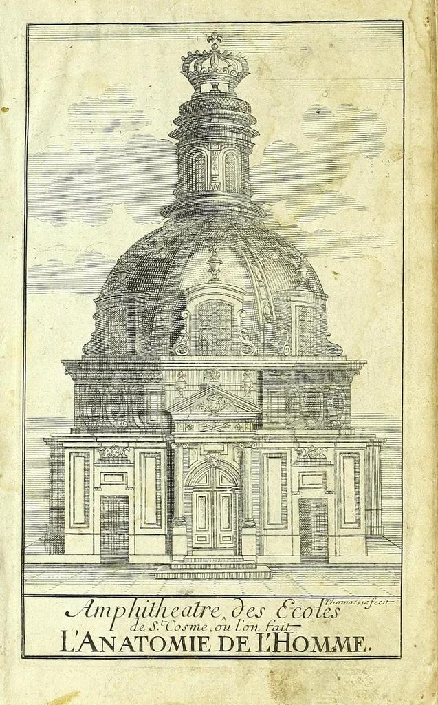 An illustration from L'anatomie de l'homme, suivant la circulation du sang, & les dernieres découvertes :, 1698, leaf 3