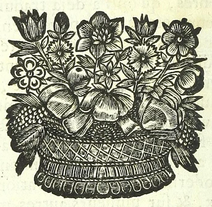 An illustration from L'anatomie de l'homme, suivant la circulation du sang, & les dernieres découvertes :, 1698, leaf 42
