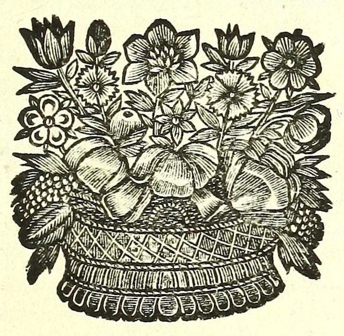 An illustration from L'anatomie de l'homme, suivant la circulation du sang, & les dernieres découvertes :, 1698, leaf 639