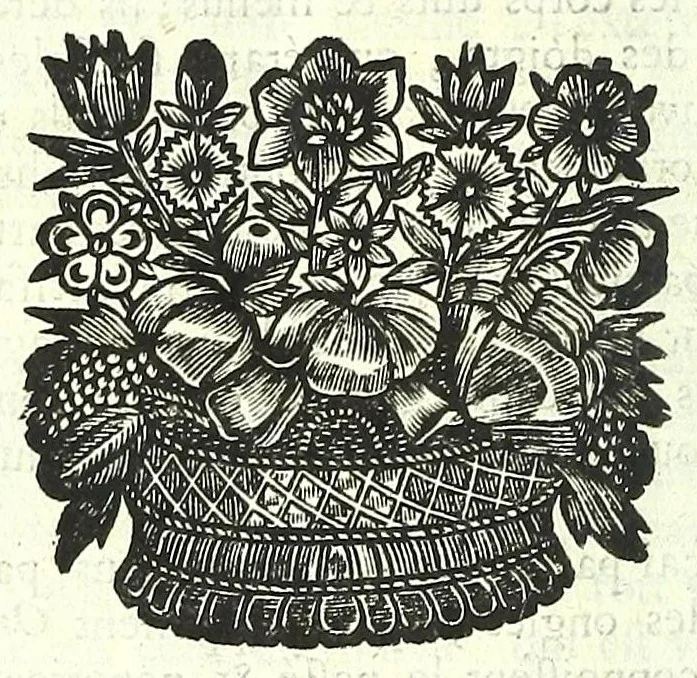An illustration from L'anatomie de l'homme, suivant la circulation du sang, & les dernieres découvertes :, 1698, leaf 744