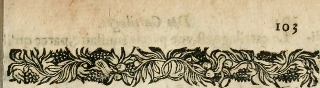 An illustration from L'anatomie françoise, recveillie des meillevrs autheurs qui ont écrit de cette science, 1673, leaf 116