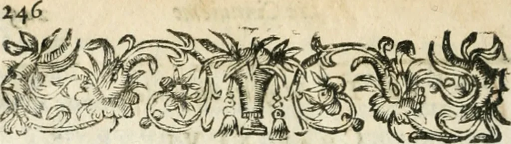 An illustration from L'anatomie françoise, recveillie des meillevrs autheurs qui ont écrit de cette science, 1673, leaf 259