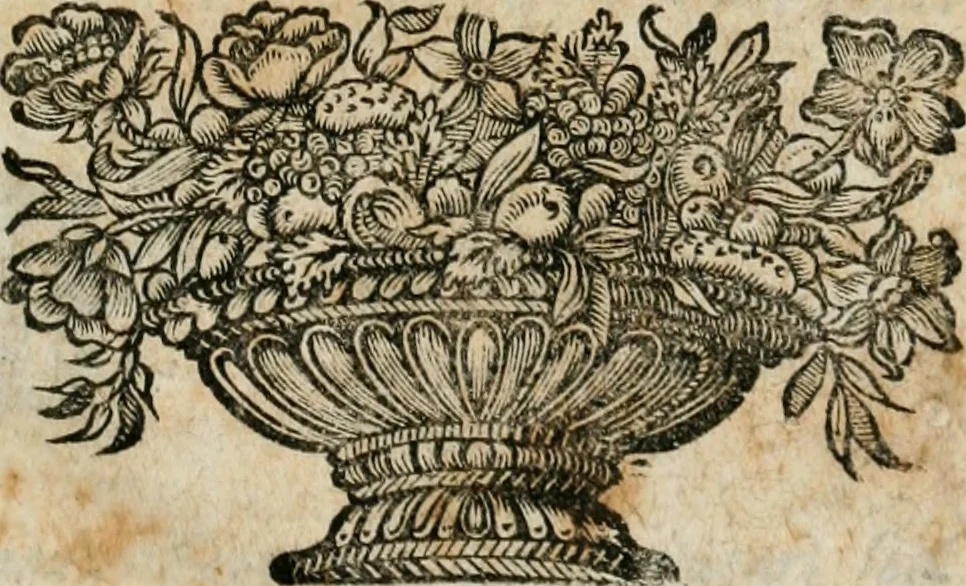An illustration from L'anatomie françoise, recveillie des meillevrs autheurs qui ont écrit de cette science, 1673, leaf 6