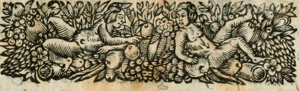 An illustration from L'anatomie françoise, recveillie des meillevrs autheurs qui ont écrit de cette science, 1673, leaf 8