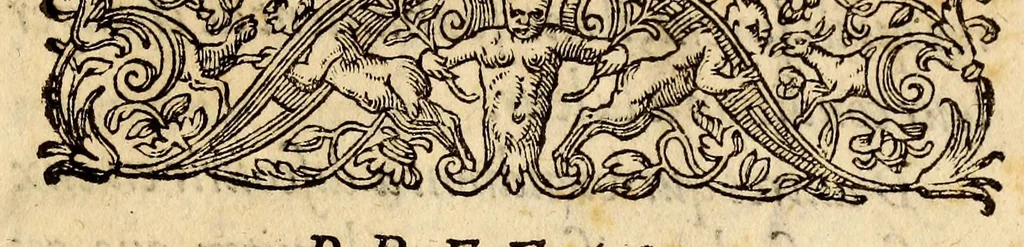 An illustration from La nauigation du capitaine Martin Forbisher [sic] Anglois, és regions de west & nordwest, en l'année M.D. LXXVII. : Contenant les moeurs & façons de viure des peuples, & habita[n]s d'icelles, auec le portraict de leurs habits & armes, & autres choses memorables & singulieres, du tout incognues par deça, 1578, leaf 9