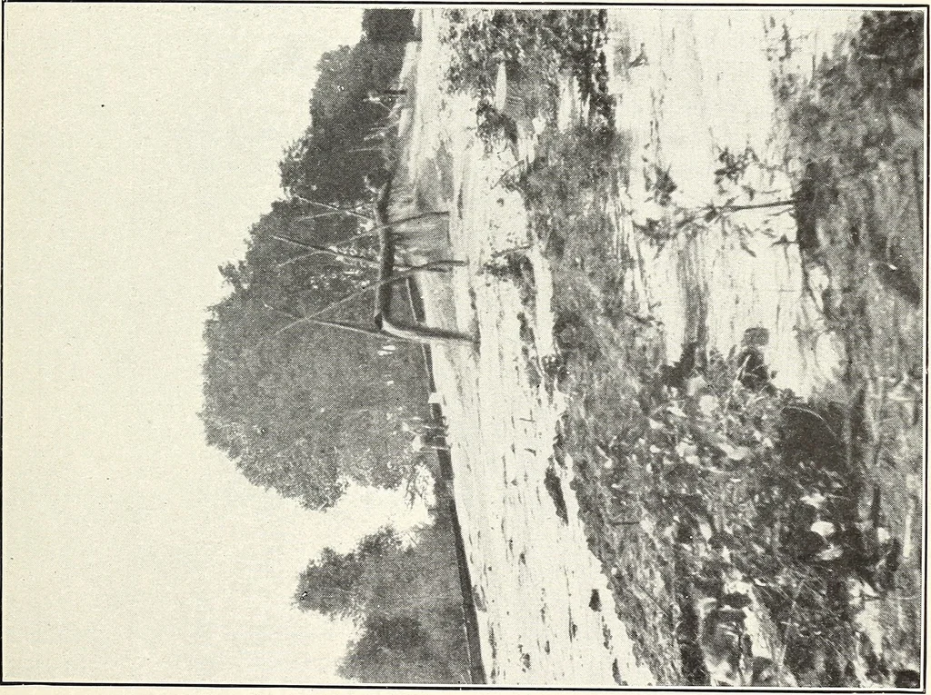 An illustration from Land drainage by means of pumps, 1915, leaf 38