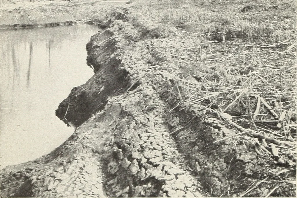 An illustration from Land drainage by means of pumps, 1915, leaf 39